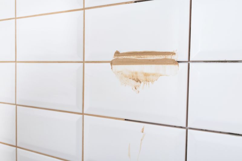 Damaged Grout Removal